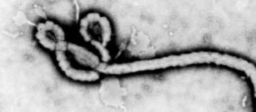 Ebola, nuova incontrollabile epidemia