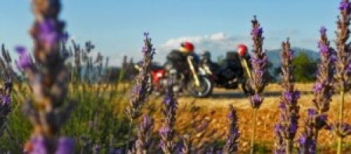 Una sosta a Valensole tra la lavanda