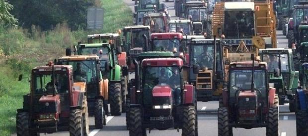 Le monde rural sera dans la rue le samedi 28 juin à FOIX Le monde rural sera dans la rue le samedi 28 juin à FOIX