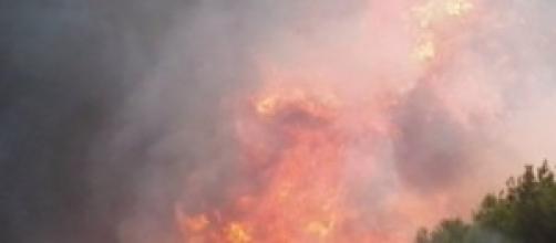 Incendio forestal en Galicia campaña 2013