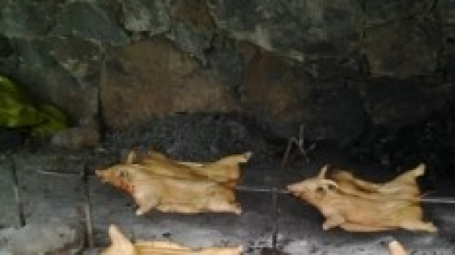 Questo ci basta per sentirci Italiani?