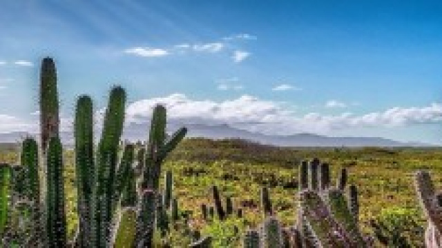 Il Venezuela si ritrova senza acqua