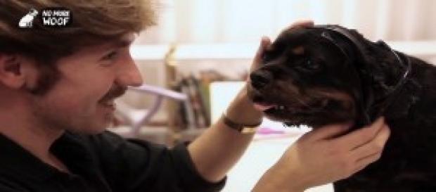 "No more Woof" ya esta cerca "No more Woof" ya esta cerca