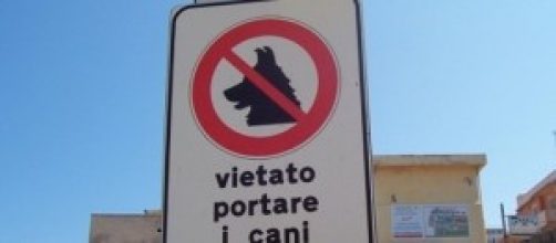 Roma, no agli animali nelle spiagge libere