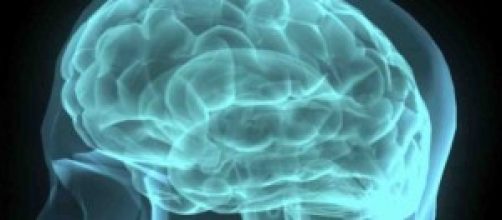 il cervello sano non ancora colpito da Alzheimer