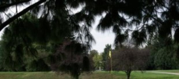 le golf de Billère, le premier de tous! le golf de Billère, le premier de tous!
