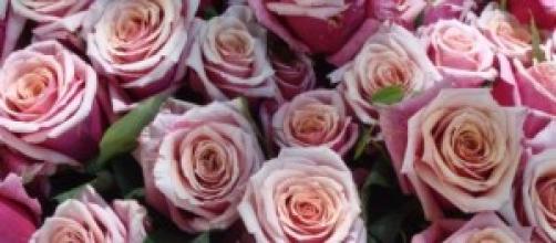 Stylish Florists From London Bridge Stylish Florists From London Bridge