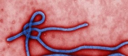 Ebola, medico all'avanguardia contrae il virus