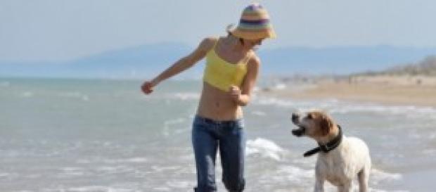 Quest anno il nostro cane viene in vacanza con noi Quest anno il nostro cane viene in vacanza con noi