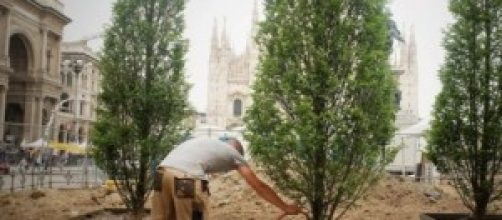 lavori in piazza duomo per orto botanico 