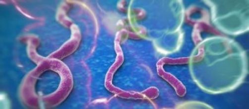 Ebola, la paura si diffonde anche in Europa