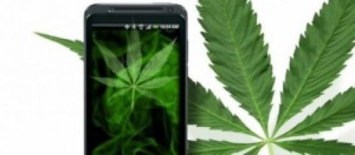 Un comune smartphone e una foglia di marijuana