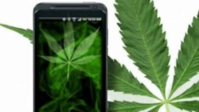 Un comune smartphone e una foglia di marijuana
