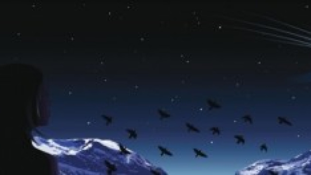 Notte di San Lorenzo: 10 agosto