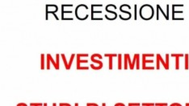 mancati investimenti privati e studi di settore 