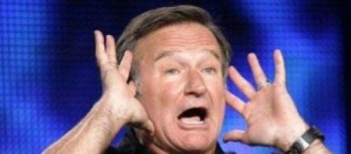 Robin Williams (1951-2014) Robin Williams (1951-2014)