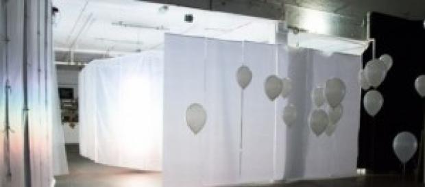 Daze Exhibition, Shapes Gallery Daze Exhibition, Shapes Gallery