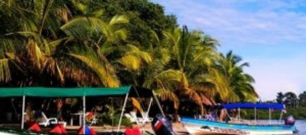 Playa La Estrella, en Isla Colón (Bocas del Toro) Playa La Estrella, en Isla Colón (Bocas del Toro)