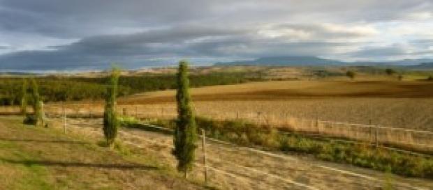 Vacanze in Toscana, le 10 cose da fare Vacanze in Toscana, le 10 cose da fare