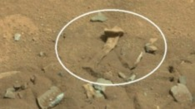 La foto dell'ipotetico osso