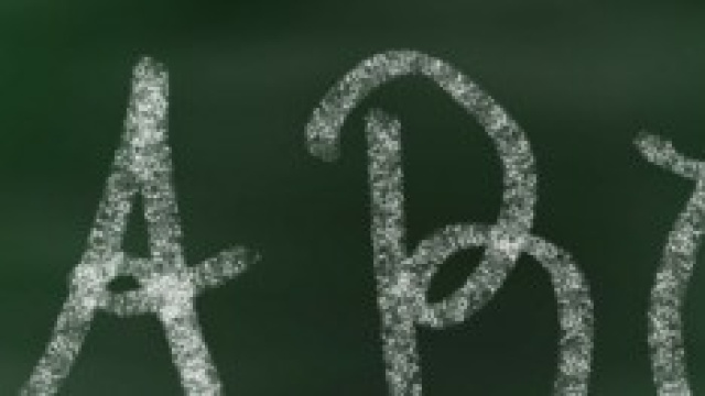 Pensioni e quota 96: il programma della protesta