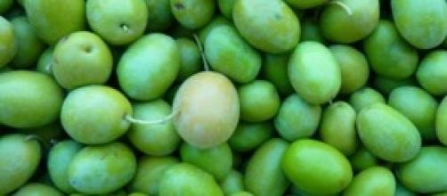 Vuoi raccogliere le olive di Sting? Paga 260 €!