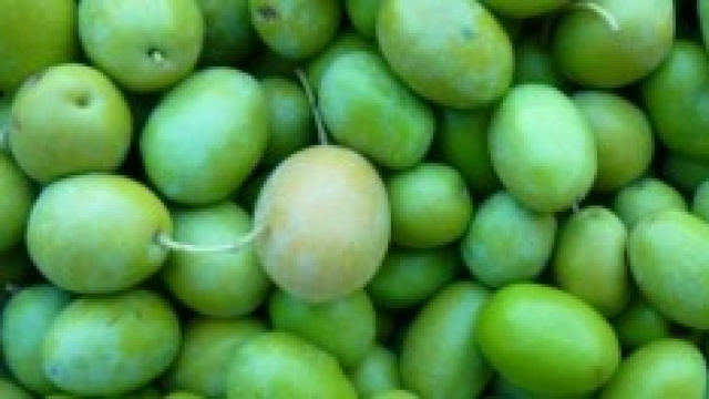 Vuoi raccogliere le olive di Sting? Paga 260 €!