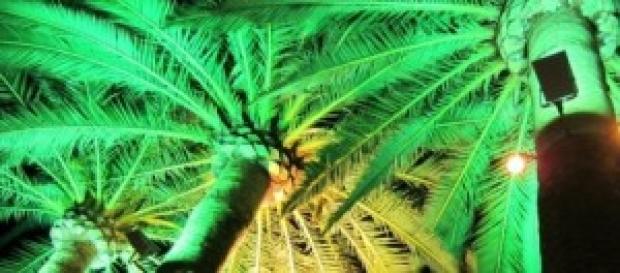 Baleari: guida turistica a Ibiza Baleari: guida turistica a Ibiza