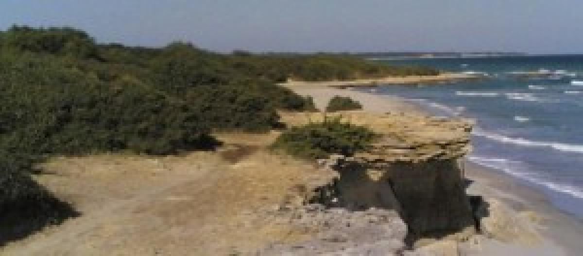 Salento Le Migliori Spiagge Di Otranto