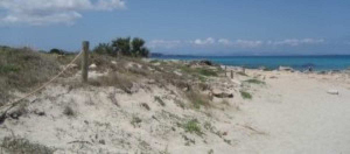 Le 5 Spiagge Più Belle Di Formentera Dove Andare Al Mare