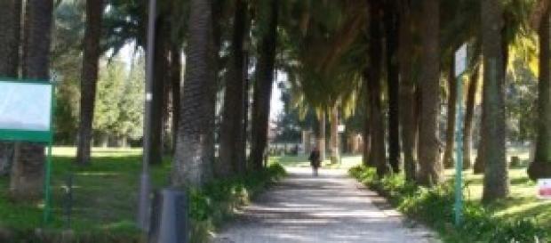 Villa Torlonia - Il viale da Via Nomentana Villa Torlonia - Il viale da Via Nomentana