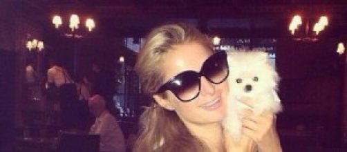 Paris Hilton e il suo cane da 10.000 euro