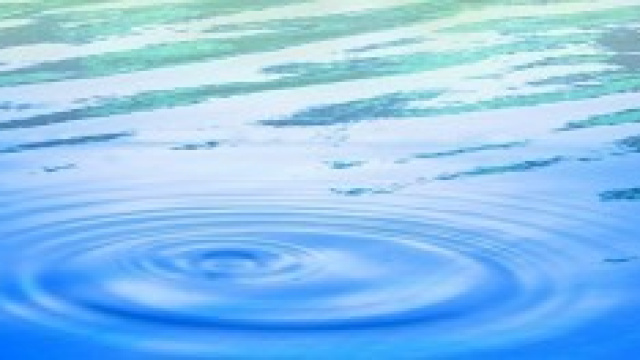 Che cosa &egrave; la fobia sociale? 