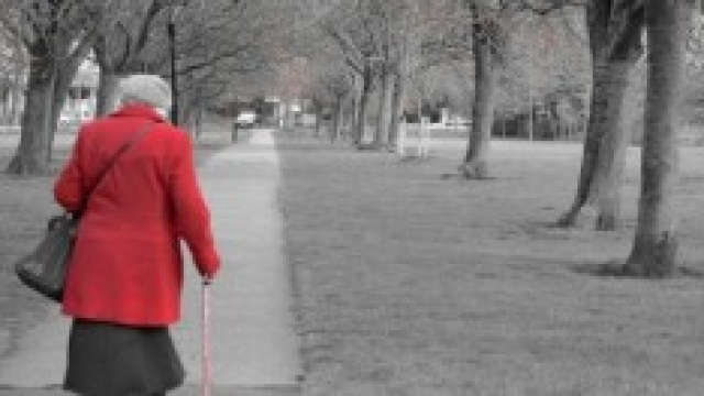 Riforma pensioni 2014: ultimi aggiornamenti