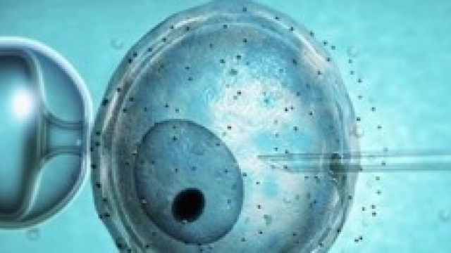 Eterologa si, eterologa no