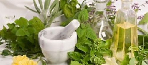 beneficios y precausiones de plantas medicinales