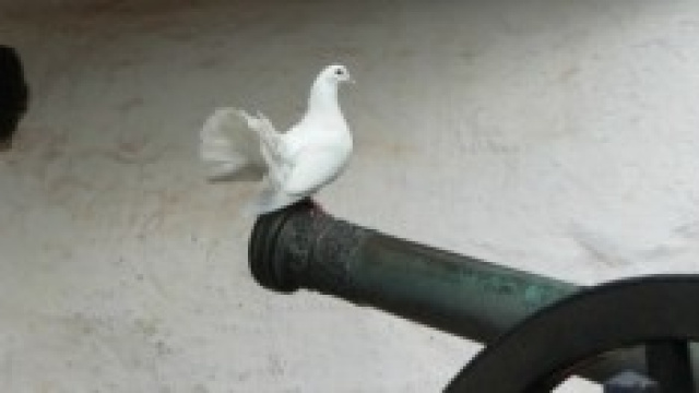 Immagine che contrappone la guerra e la pace