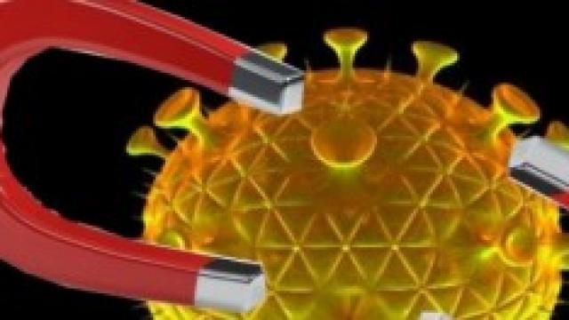 Magnete + proteina: addio ai mali del secolo?