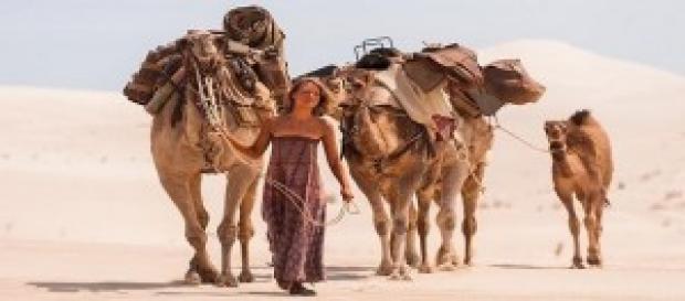 Tracks, attraverso il deserto Tracks, attraverso il deserto