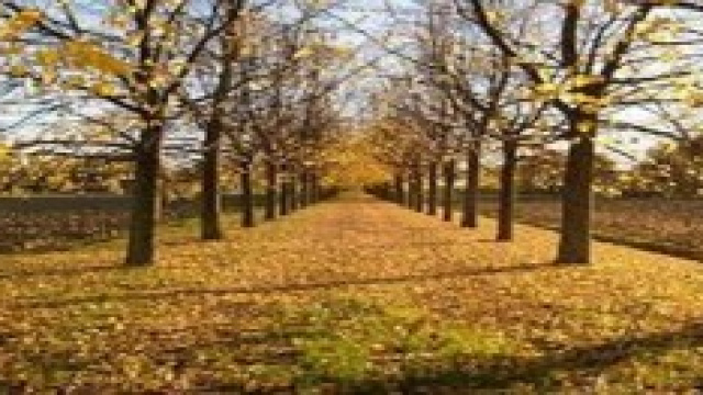 Cartoline autunnali 2014 