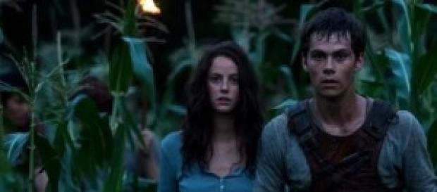Maze runner-il labirinto 8 ottobre Maze runner-il labirinto 8 ottobre