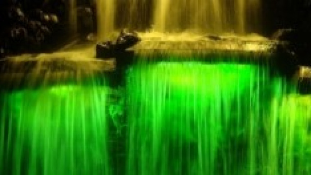 Pukekura Park - New Plymouth - Nuova Zelanda