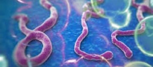 Virus Ebola: morto secondo missionario spagnolo