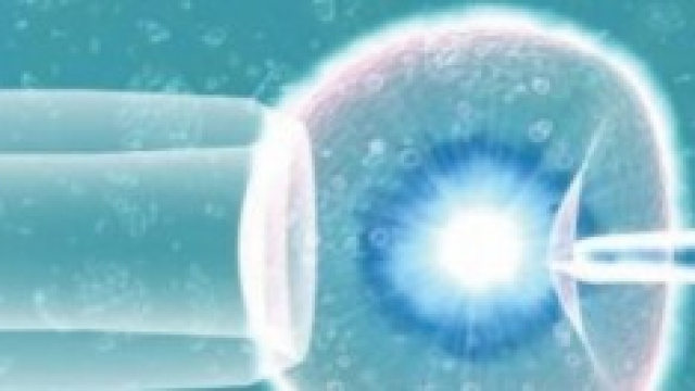 Processo di fecondazione artificiale