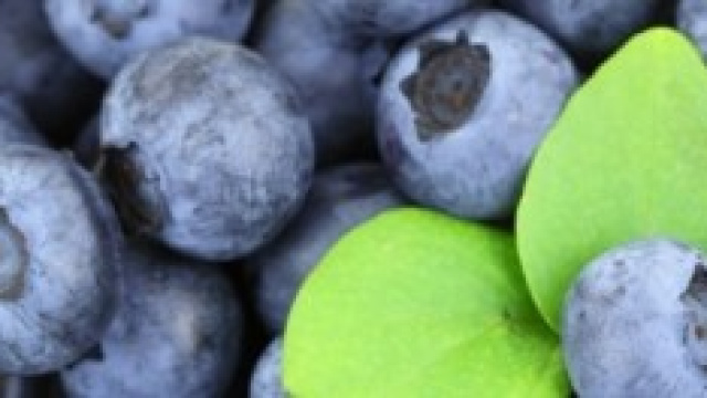 - Muffins ai mirtilli, ricetta-