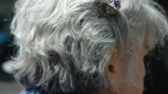 Pensione anticipata 2014: &egrave; corsa ad ostacoli