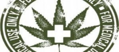 coltivazione della cannabis per l'esercito
