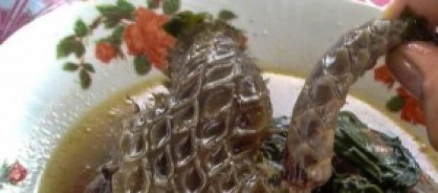 un bouillon de viande de brousse un bouillon de viande de brousse