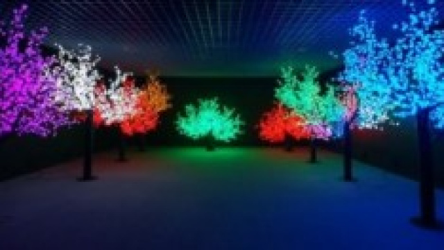 esempio di alberi lampione