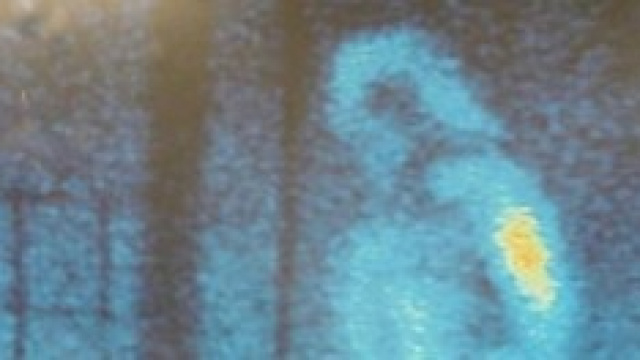 Fantasma                 